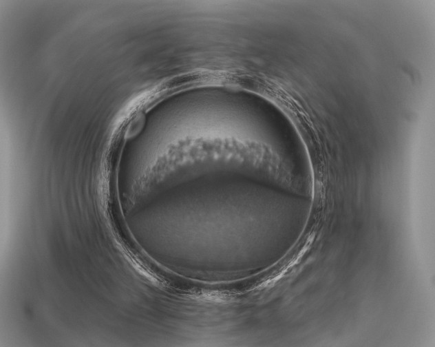 X0000113230149200909101218