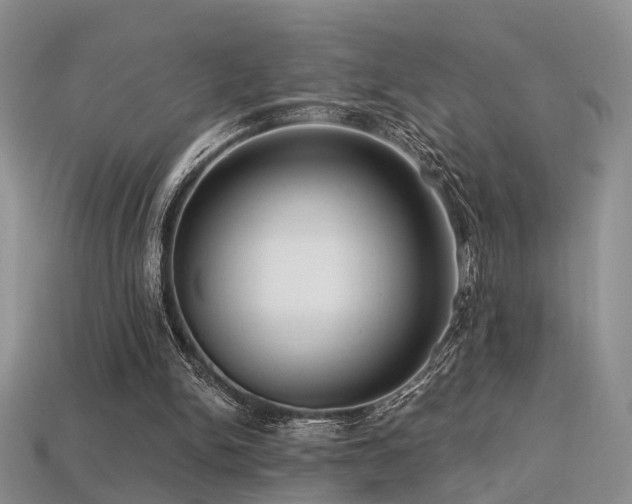 X0000113230150200909101218