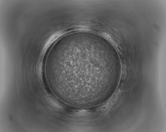 X0000113230151200909101218