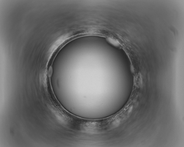X0000113230152200909101218