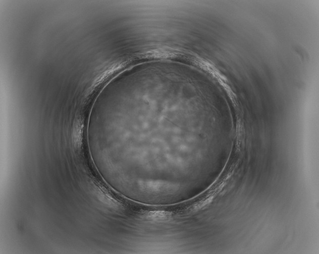 X0000113230153200909101218