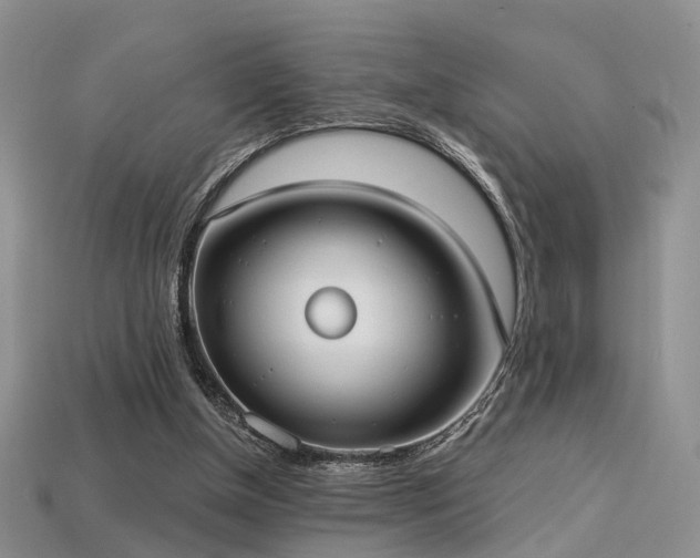 X0000113230154200909101218