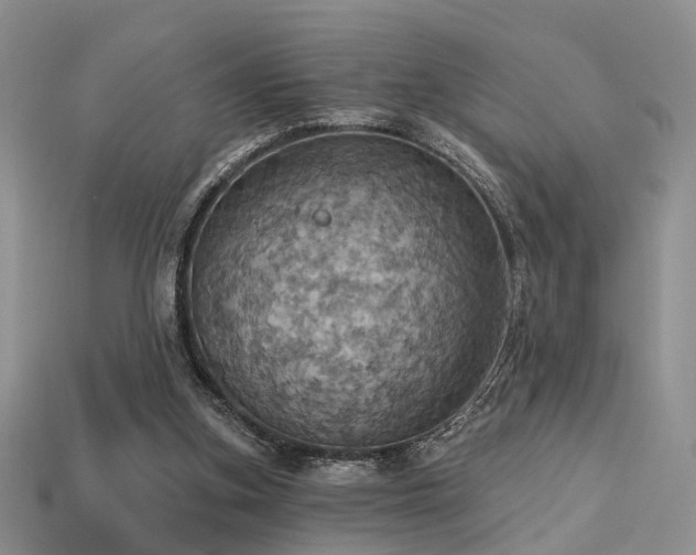 X0000113230155200909101218