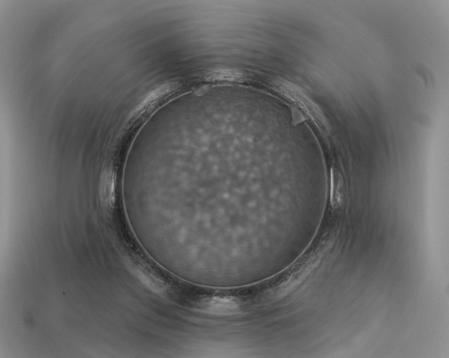 X0000113230157200909101218