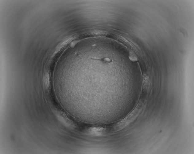 X0000113230158200909101218