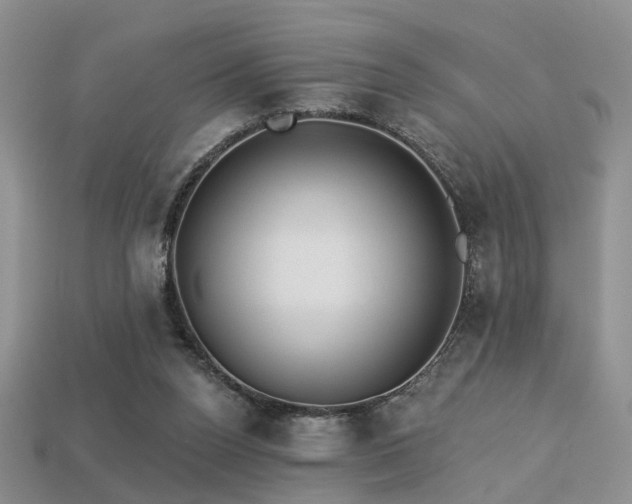 X0000113230160200909101218