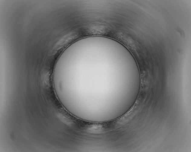 X0000113230162200909101218
