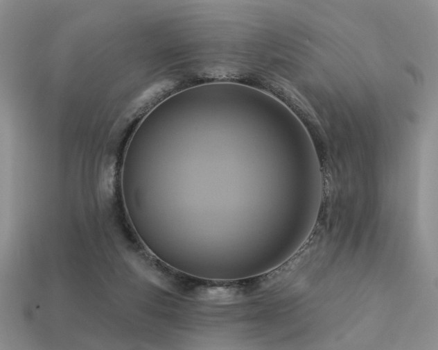 X0000113230163200909101218