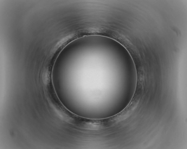X0000113230164200909101218