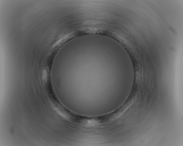 X0000113230165200909101218