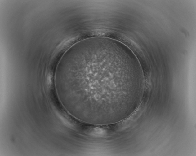 X0000113230166200909101218