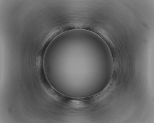 X0000113230167200909101218