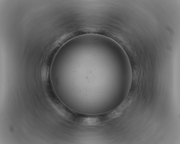 X0000113230168200909101218