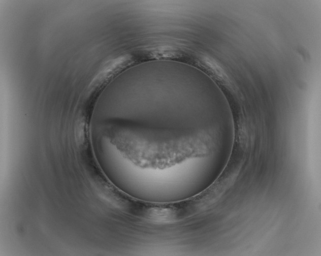 X0000113230169200909101218