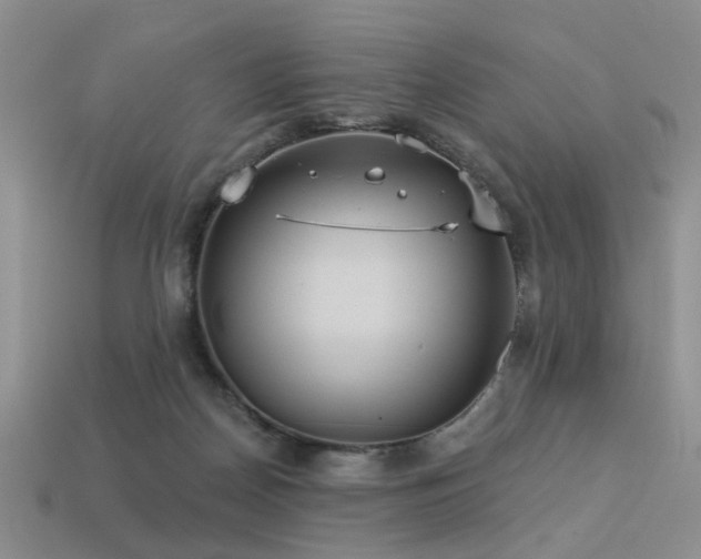 X0000113230170200909101218