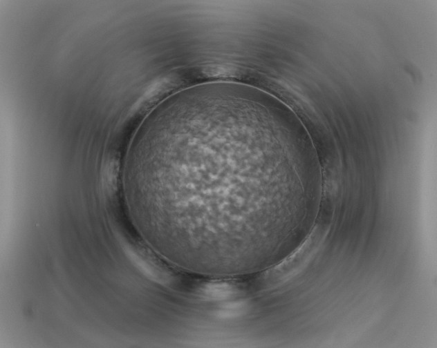 X0000113230171200909101218