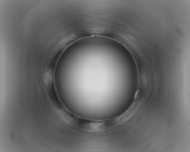 X0000113230172200909101218