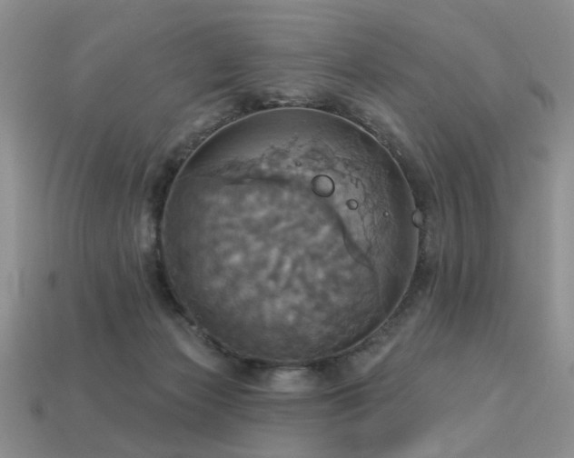 X0000113230173200909101218