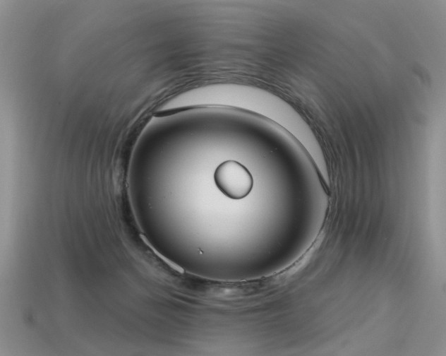 X0000113230174200909101218