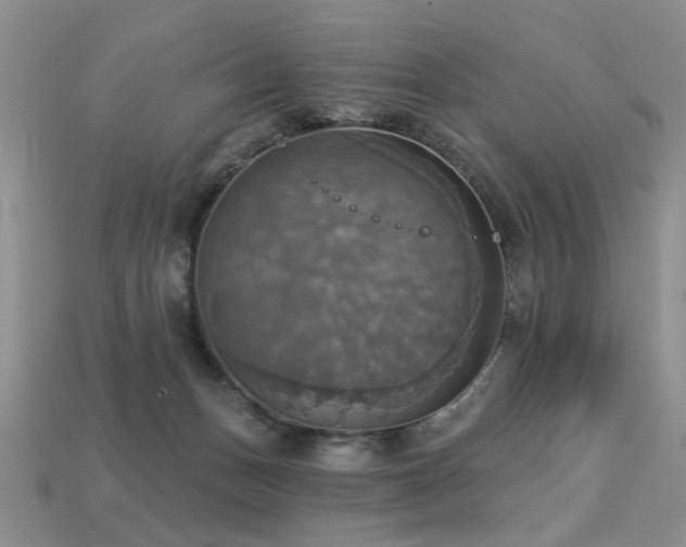 X0000113230175200909101218