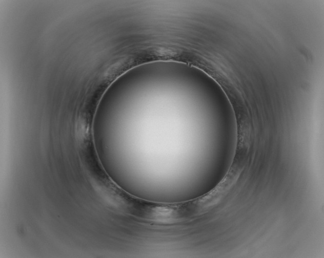 X0000113230176200909101218