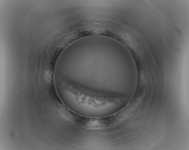 X0000113230177200909101219