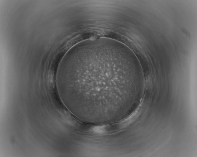 X0000113230178200909101219