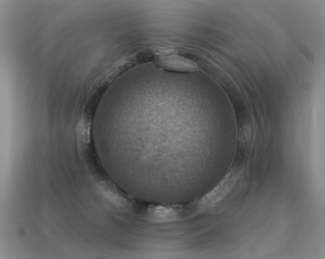 X0000113230180200909101219