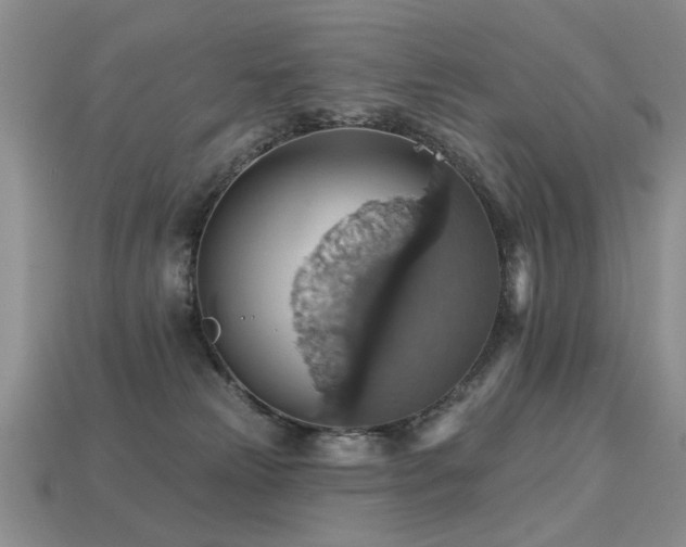 X0000113230181200909101219