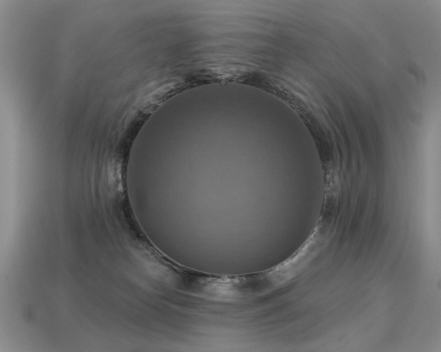 X0000113230182200909101219