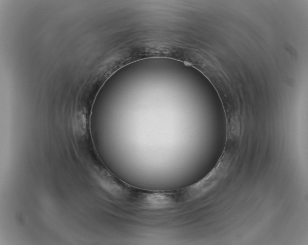 X0000113230183200909101219