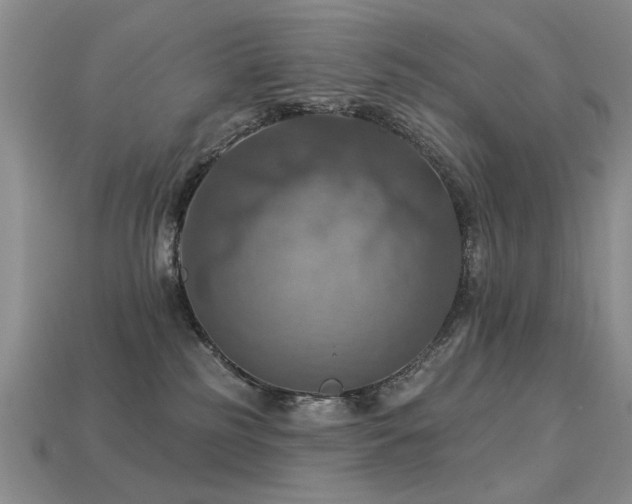 X0000113230185200909101219
