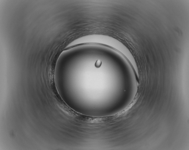 X0000113230186200909101219