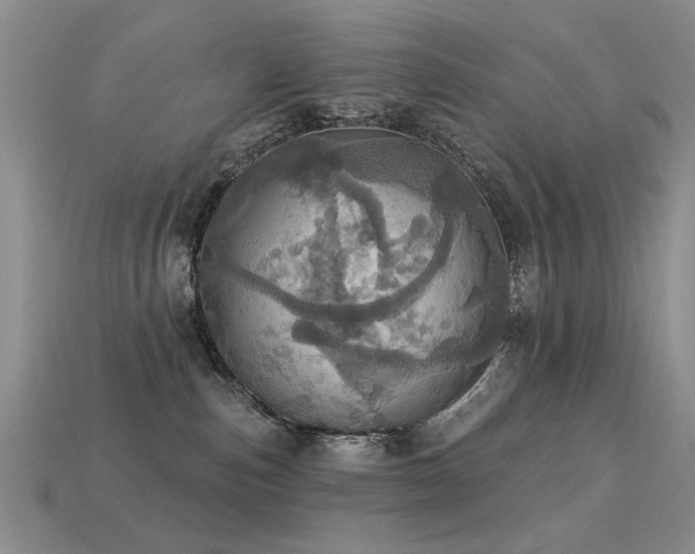 X0000113230187200909101219