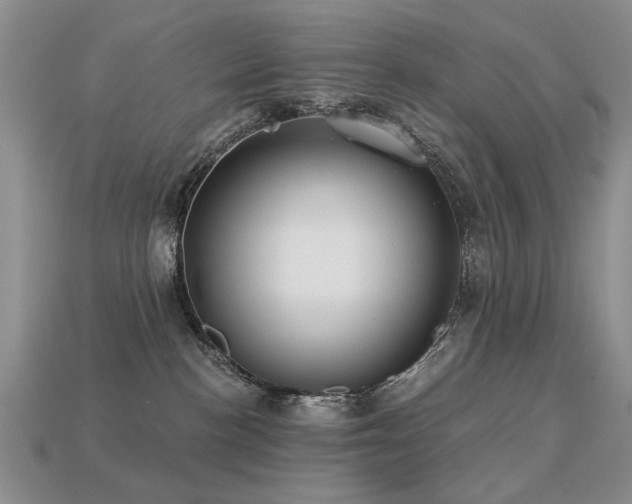 X0000113230188200909101219