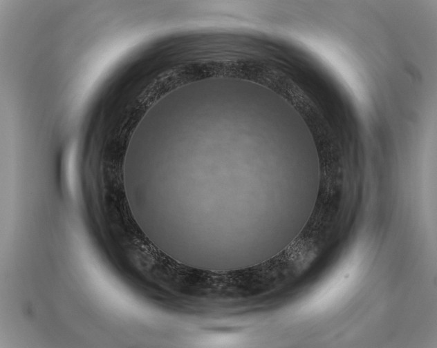 X0000113230189200909101219