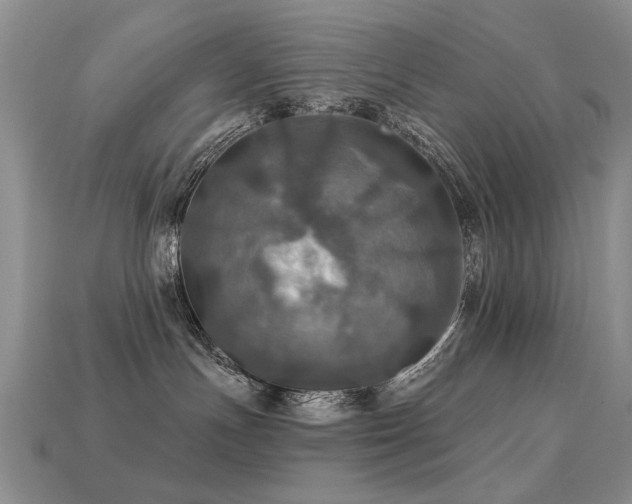 X0000113230191200909101219