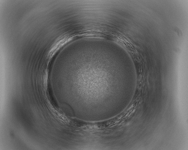 X0000113230194200909101218