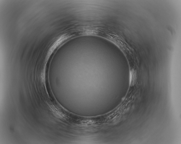 X0000113230195200909101218