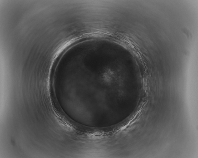 X0000113230196200909101218