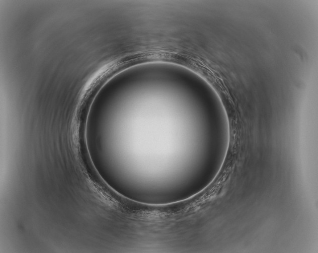 X0000113230197200909101218