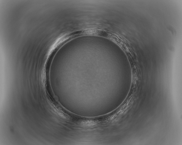 X0000113230198200909101218
