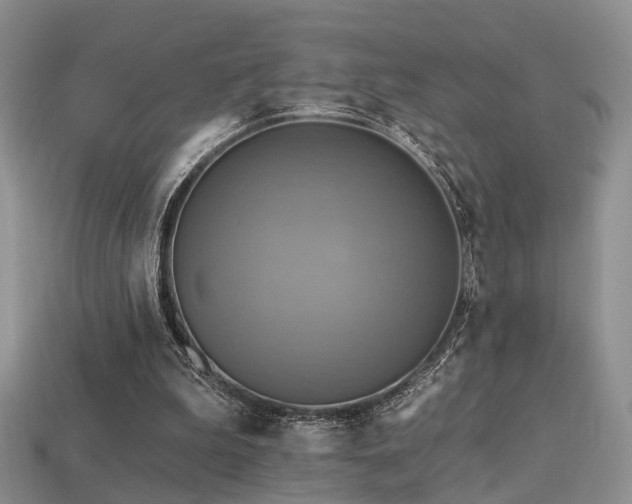 X0000113230199200909101218