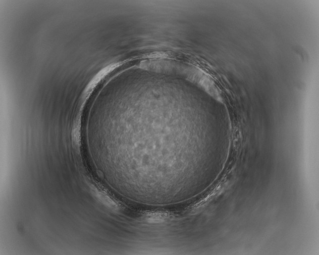 X0000113230200200909101218