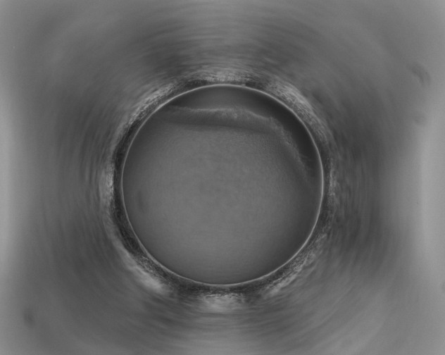 X0000113230202200909101218
