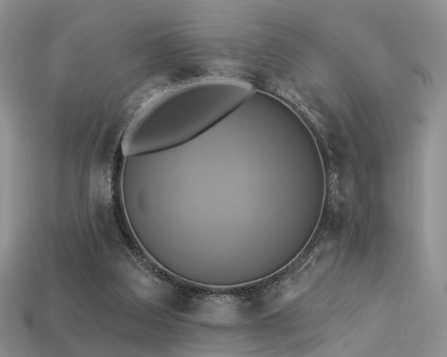 X0000113230203200909101218