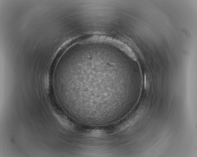 X0000113230204200909101218