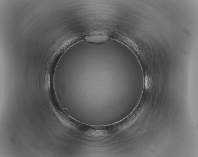 X0000113230205200909101218