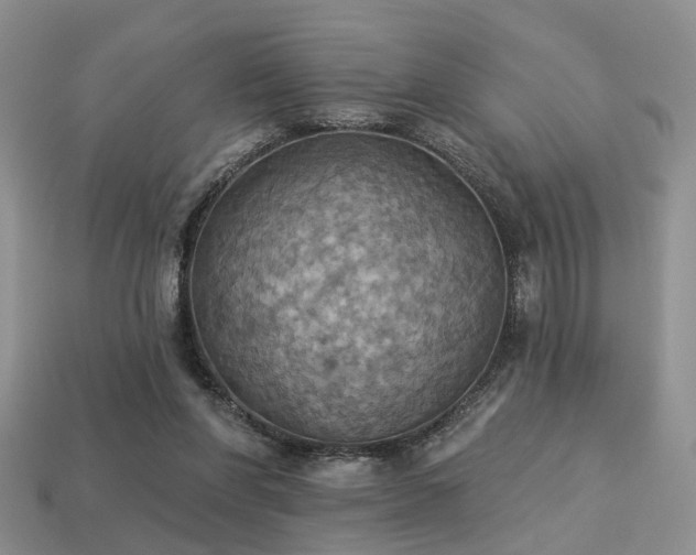 X0000113230206200909101218