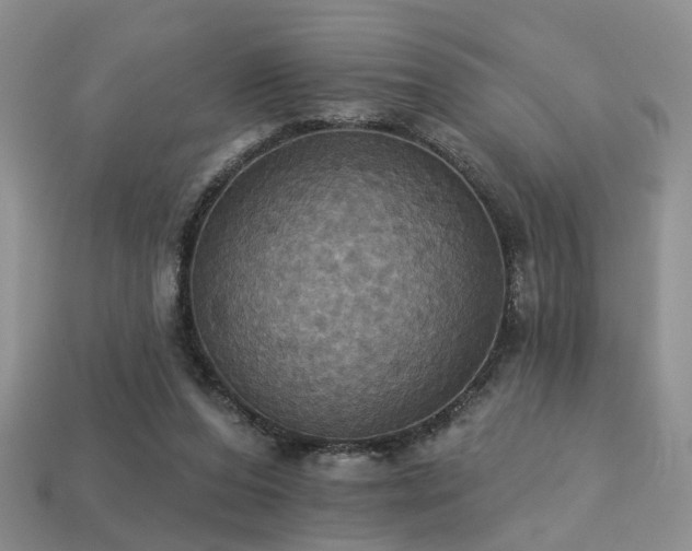 X0000113230208200909101218